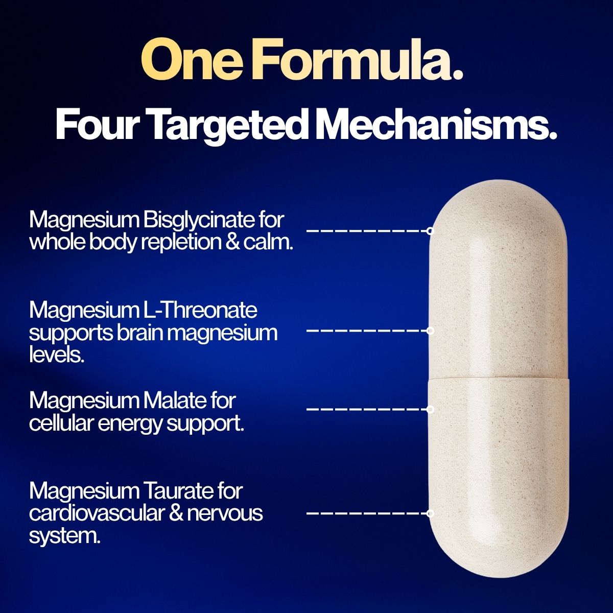 Gold Seal™ Magnesium Complete